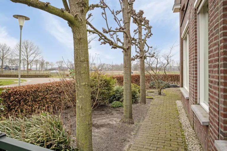 Lavendelheide20Venray38