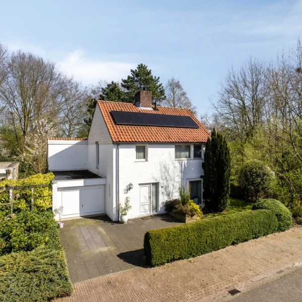 Goudplevier 17